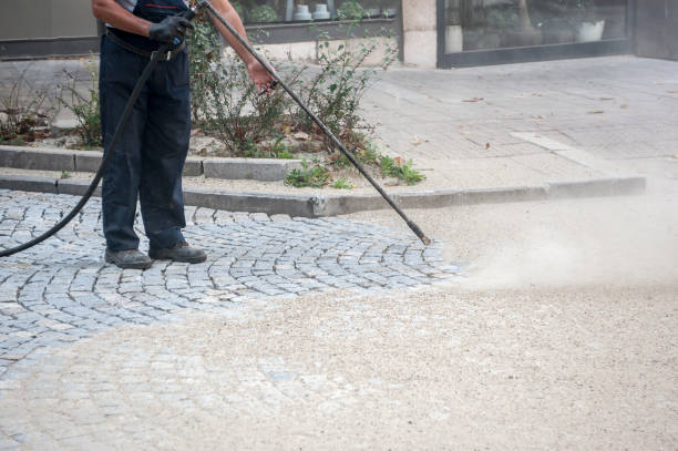 Best Animal Enclosure Cleaning  in Collegeville, PA